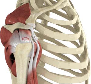 Rotator Cuff Injuries Treatment Dallas TX | Rotator Cuff Tear Frisco TX