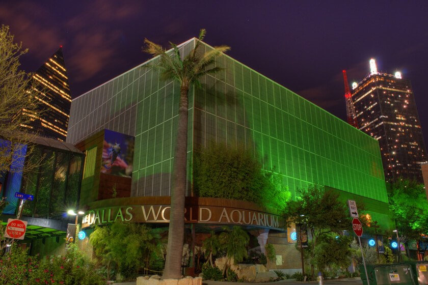 Dfwaquarium deals